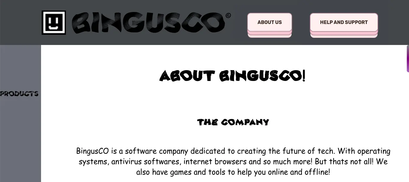 Image of old BingusCO about us page